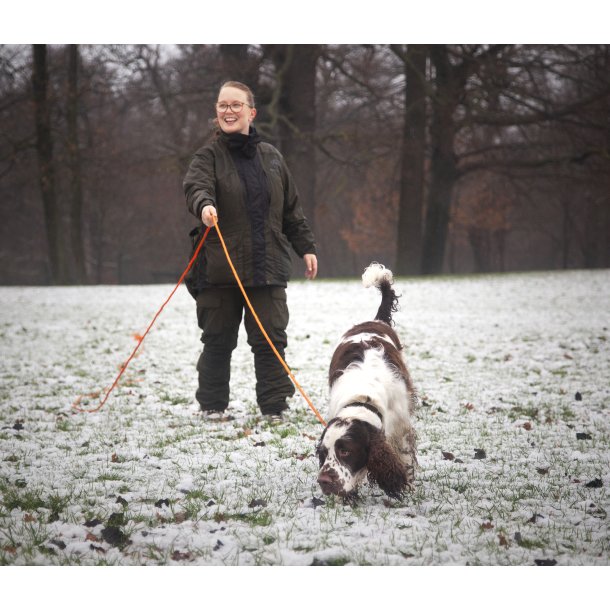 Amager: Hverdagslydighed/familiehundetrning 18. september kl. 18.15